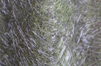 Gammersgill fibreglass roof work